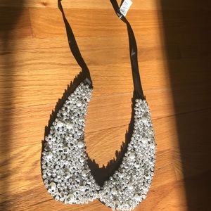 Accessory collar Pearl